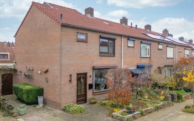 Haggenburgs. 16