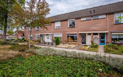 Lupinestraat 16