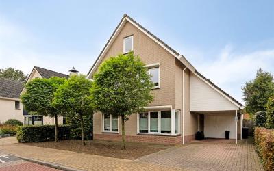 Doornenburg. 24
