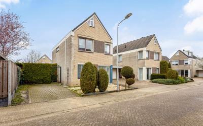 Scherpeweide 8