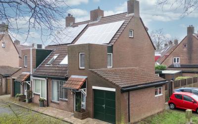 Aalscholver. 19