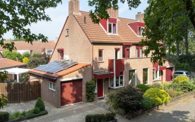 Aalscholver. 29
