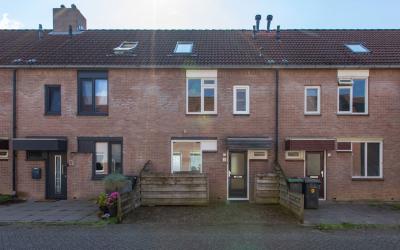 Aalscholver. 7