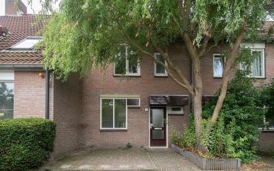 Kraanvogels. 15