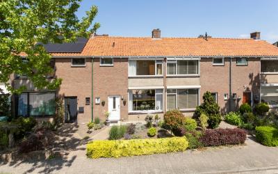 Wilhelminas. 6