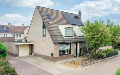Goudreinette 2-A