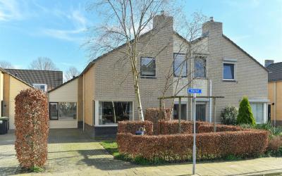 Mantet 21
