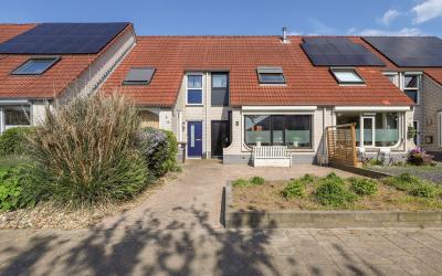 Korenbloem 13