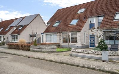 Korenbloem 21