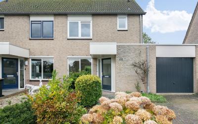 Korenbloem 89
