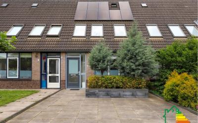 Pluto 6