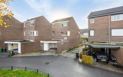 Koeweide 132