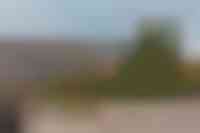 De Camp 8