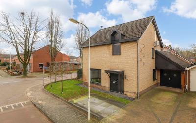 de Esdoorn 42