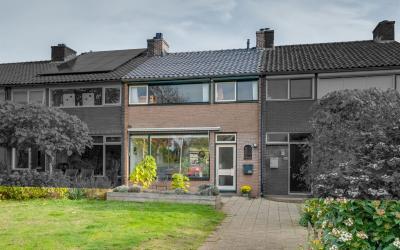 Vogelplants. 210