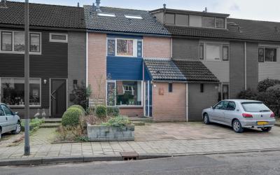Cederlaan 11