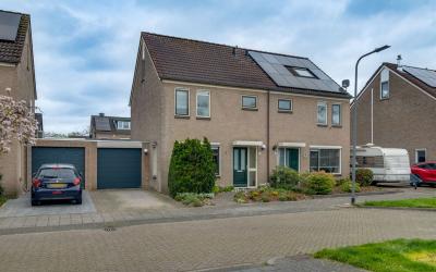 Goudenregen. 17