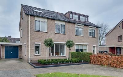Goudenregen. 8