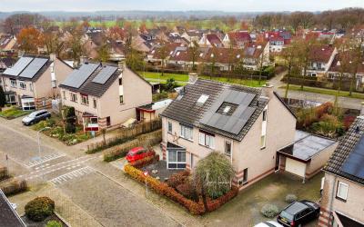 Stekelbrem 11