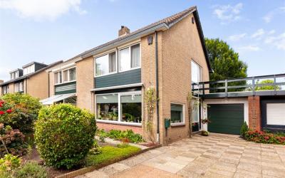 Boerhaavela. 72