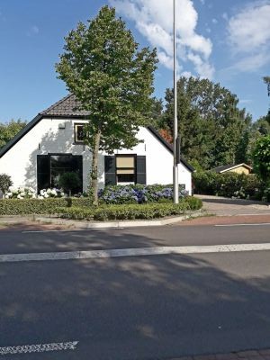 Arnhemsestraat 84