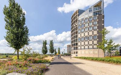 Hanzeplein 41