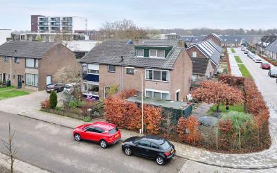 Goudenregen. 47