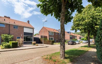 Lijsterbesl. 14