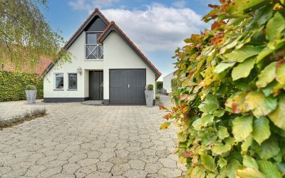 Wilde Zwaan 15
