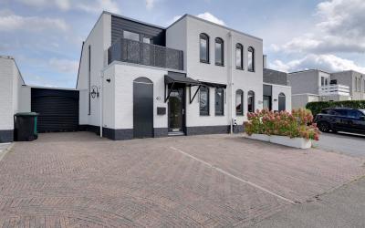 Zilvermeeuw 40