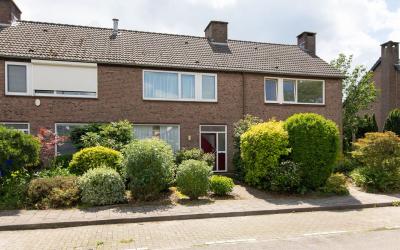 Willem Bare. 41