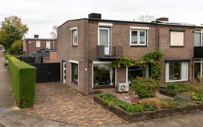 Dovenetelst. 1