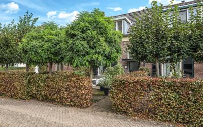 Graaf Ottos. 3