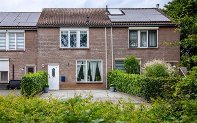 Wildenborch 4