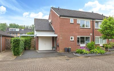 Wiersse 25
