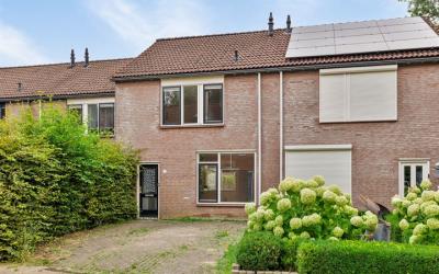 Ampsen 81