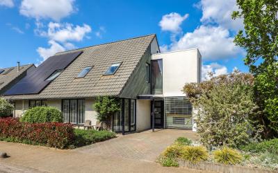 Lavendelveld 11