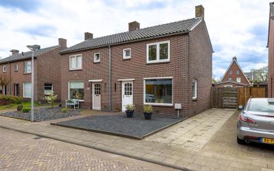 Groen van P. 8