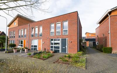 Hortensiast. 8