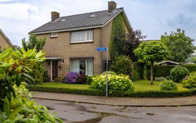 Dr.Hoogland. 37