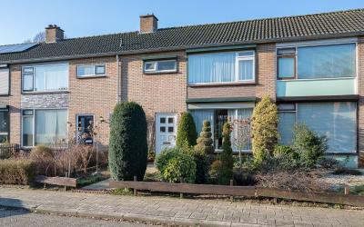Bosboomstra. 15