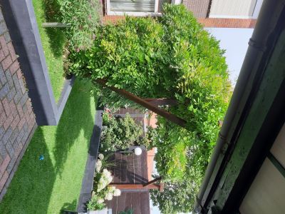 Kievitstraat 26