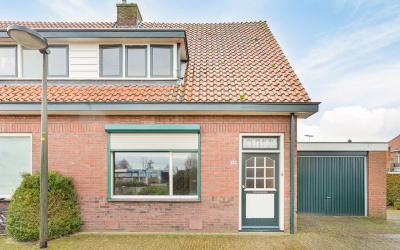 Hoge Hazel 29