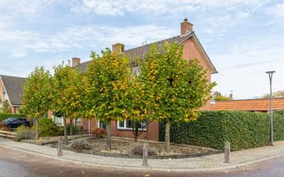 Tulpstraat 30
