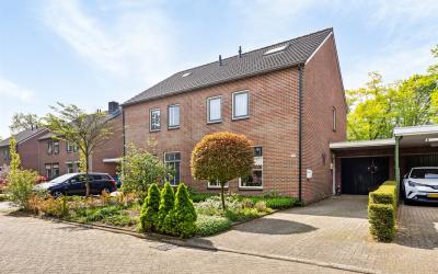De Hare 154