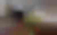 Bonifatiushof 12