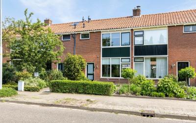 Goudenregen. 11