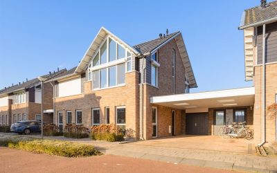 IJsvogel 67