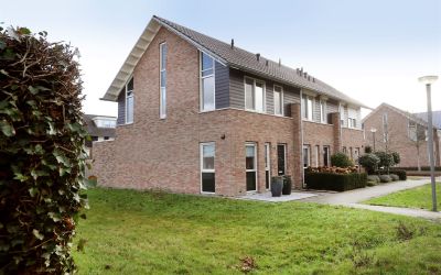 IJsvogel 85