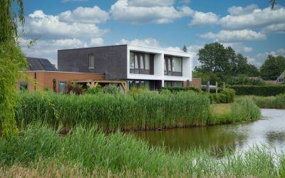 De Aalscholver 10